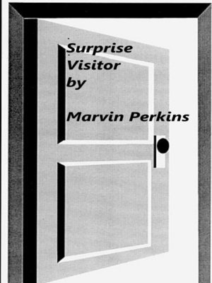cover image of Surprise Visitor